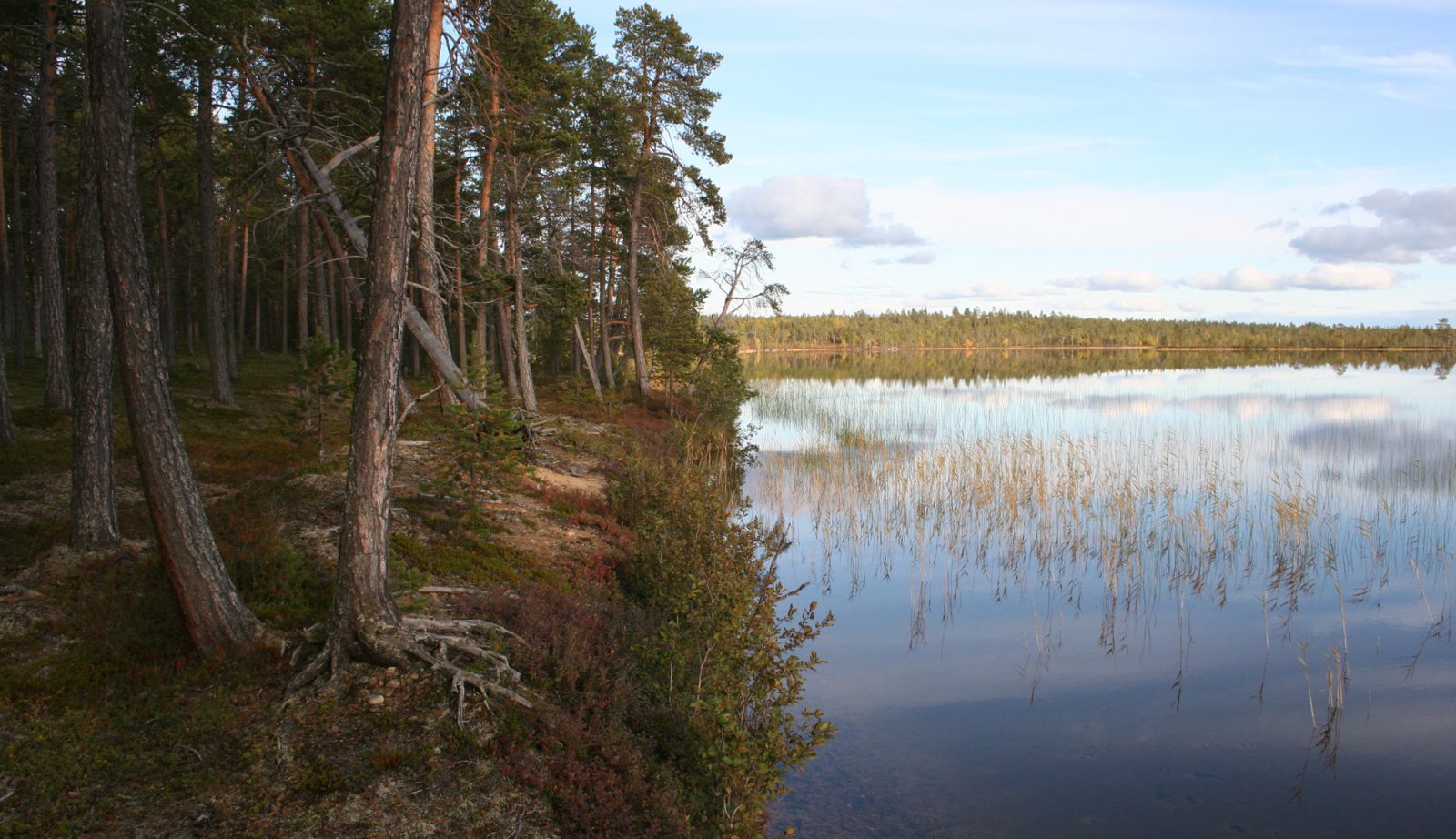 Archaeological cultural heritage - Finnish Heritage Agency